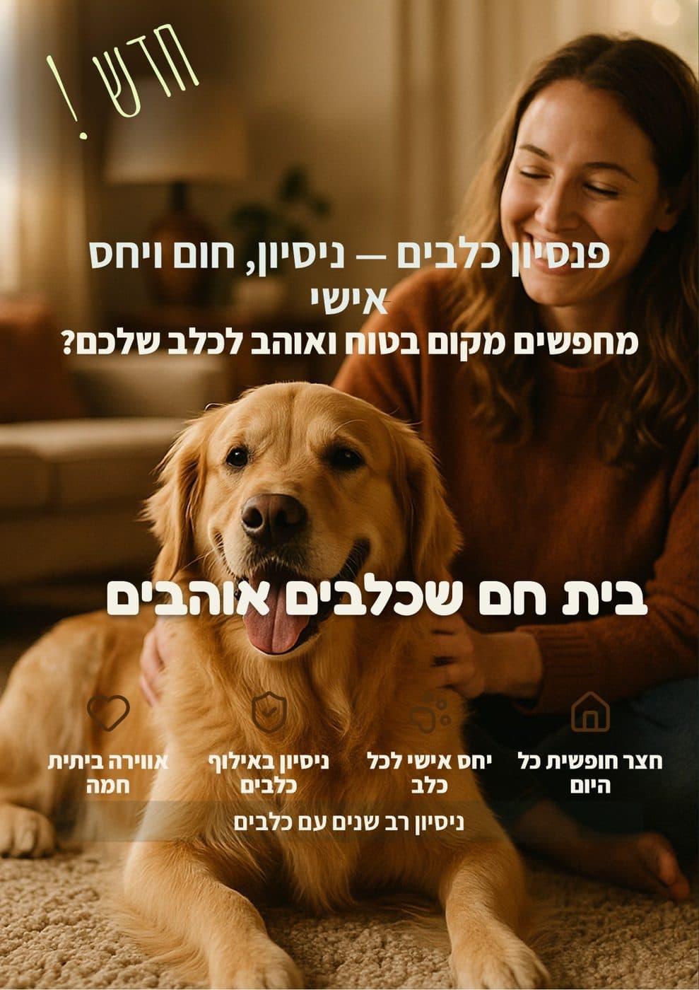 פוסטר שעוצב לפנסיון כלבים